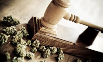 Cannabis Laws in Florida
