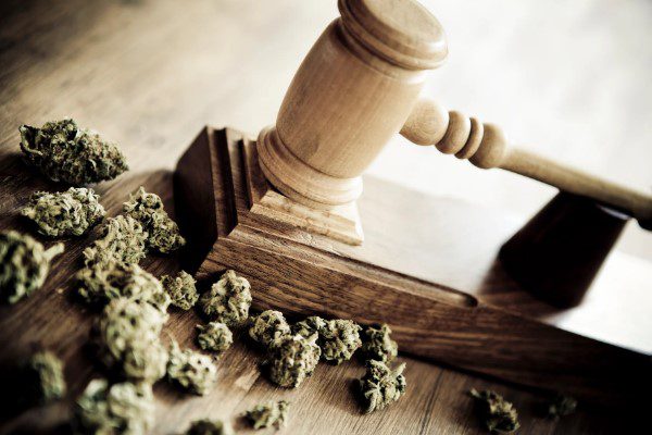 Cannabis Laws in Florida