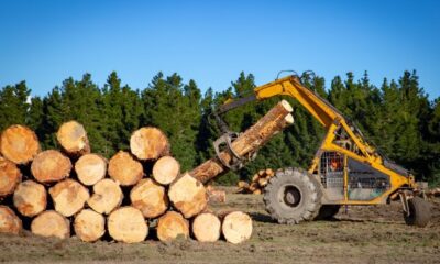 logging companies
