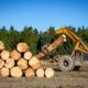 logging companies