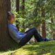 Forest Bathing and Forest Therapy