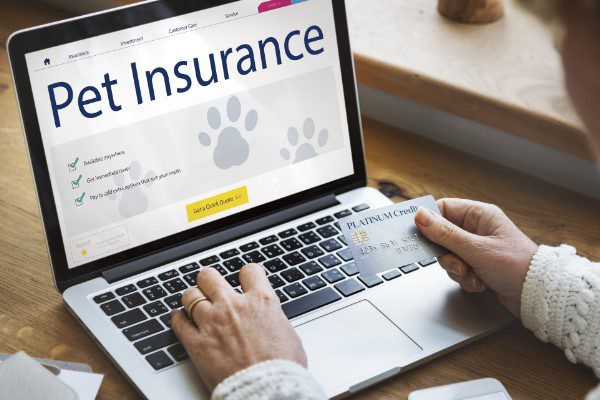 what is pet insurance