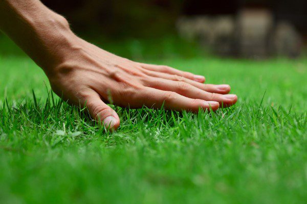 how to grow a landscaping business